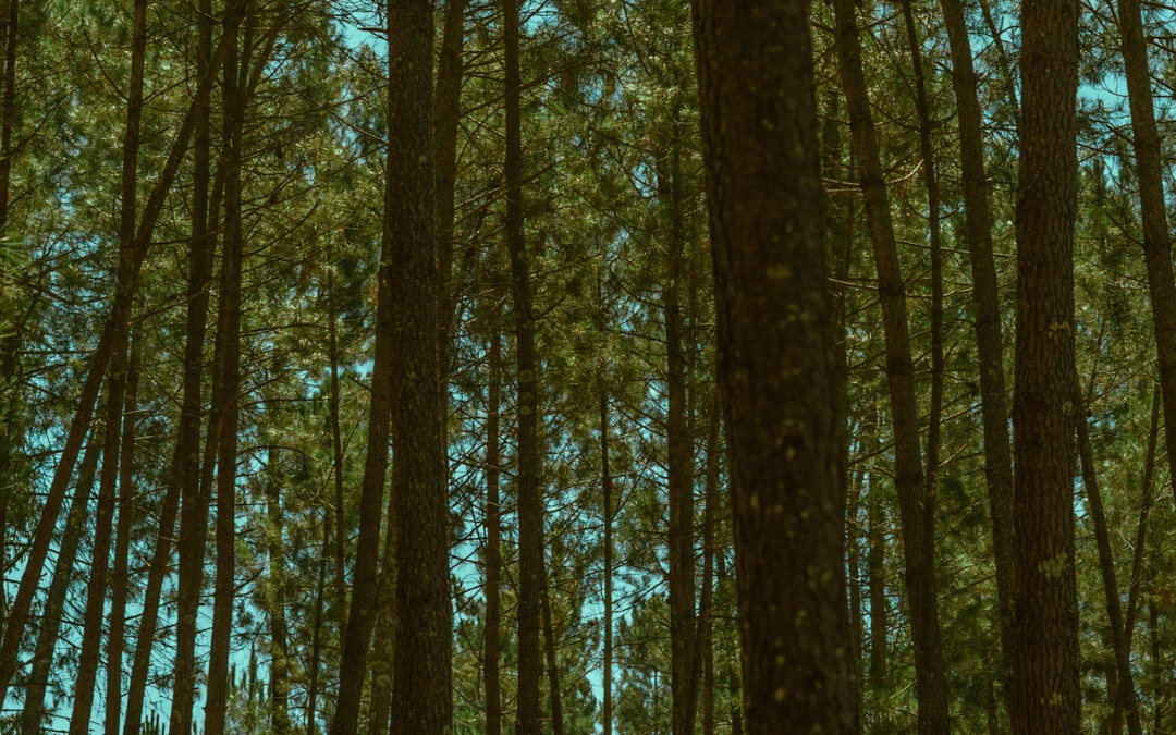 💫 あなたは最近、自分をどんなふうに大切にしていますか？