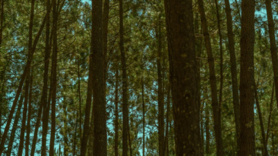 💫 あなたは最近、自分をどんなふうに大切にしていますか？